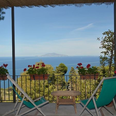 Le Ginestre Di Capri Bb & Holiday House Анакапри Экстерьер фото