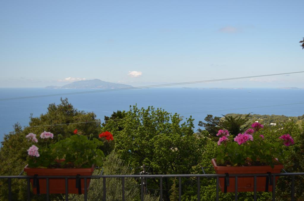 Le Ginestre Di Capri Bb & Holiday House Анакапри Экстерьер фото