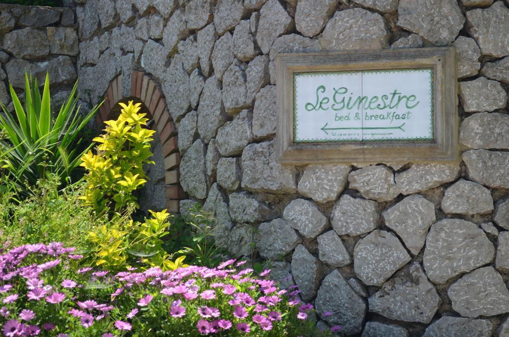 Le Ginestre Di Capri Bb & Holiday House Анакапри Экстерьер фото
