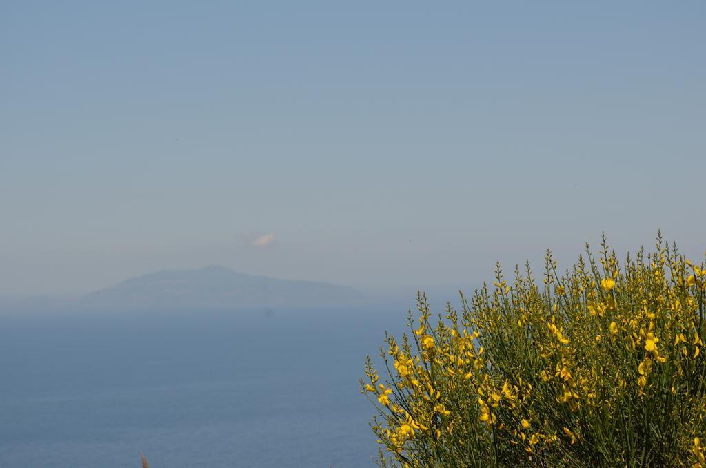 Le Ginestre Di Capri Bb & Holiday House Анакапри Экстерьер фото