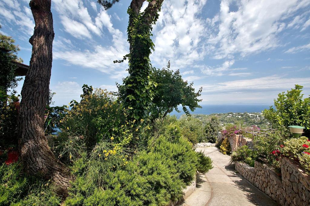 Le Ginestre Di Capri Bb & Holiday House Анакапри Экстерьер фото