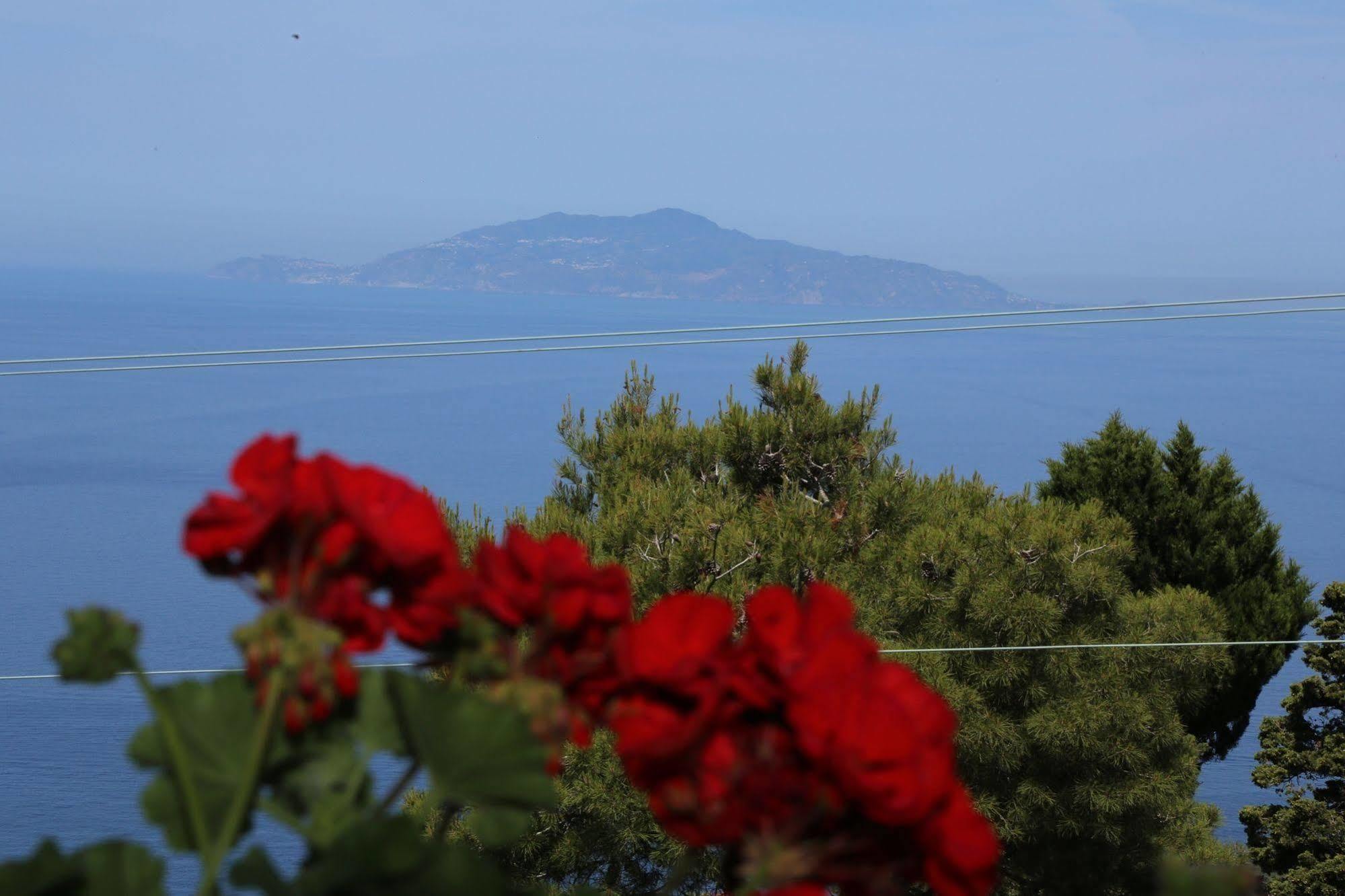 Le Ginestre Di Capri Bb & Holiday House Анакапри Экстерьер фото